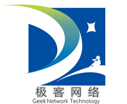 福建極客網(wǎng)絡(luò)科技 技術(shù)驅(qū)動創(chuàng)新，數(shù)字賦能未來